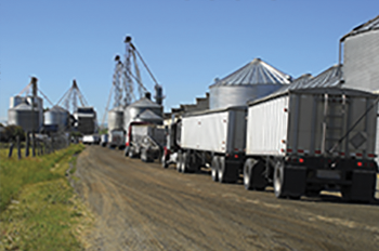Transport / Bulk Hauling Transport / Bulk Hauling